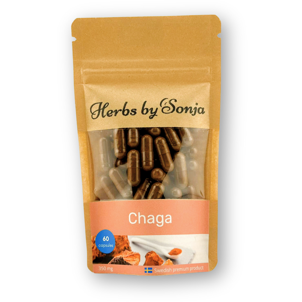 Chaga – bild 2 – Herbs by Sonja