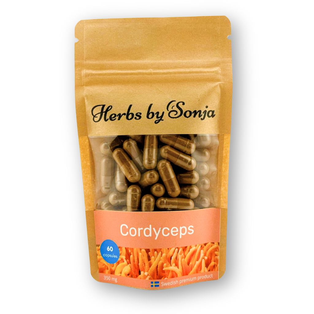 Cordyceps – bild 2 – Herbs by Sonja
