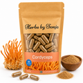 Cordyceps – Herbs by Sonja