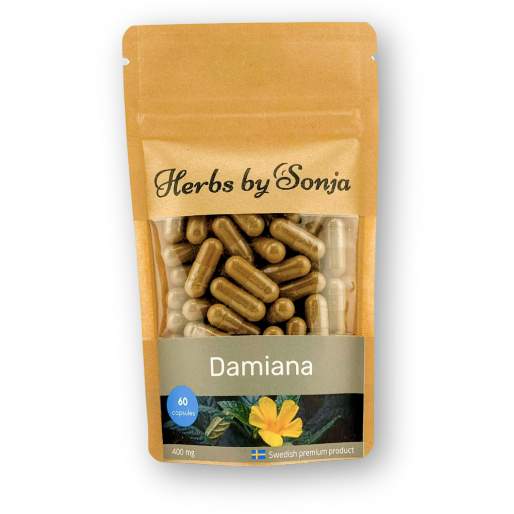 Damiana – bild 2 – Herbs by Sonja