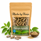Fadogia Agrestis – Herbs by Sonja