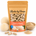 Lion's Mane – Herbs by Sonja