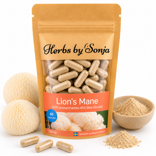 Lion's Mane – Herbs by Sonja