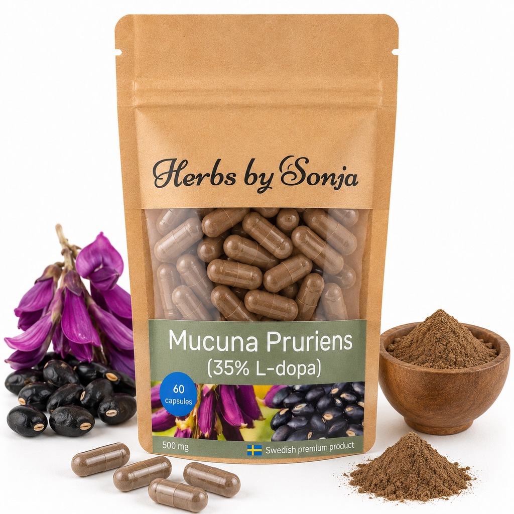 Mucuna Pruriens – Herbs by Sonja