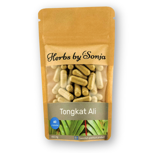 Tongkat Ali – bild 2 – Herbs by Sonja