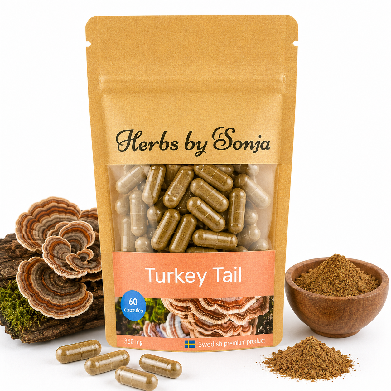 Turkey tail / Sidenticka – Herbs by Sonja